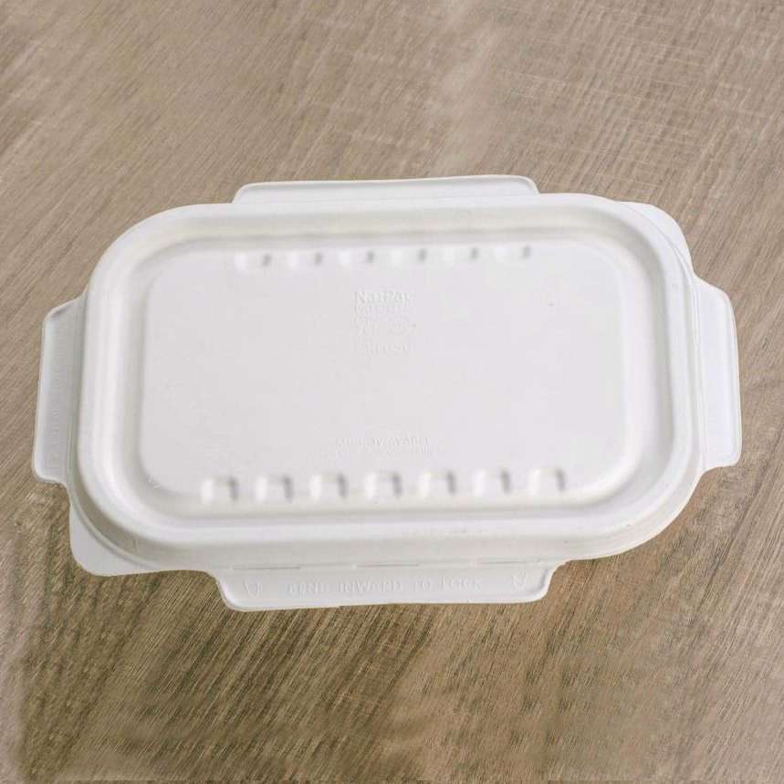 Coperchio cellulosa per vaschetta 23x15 cm