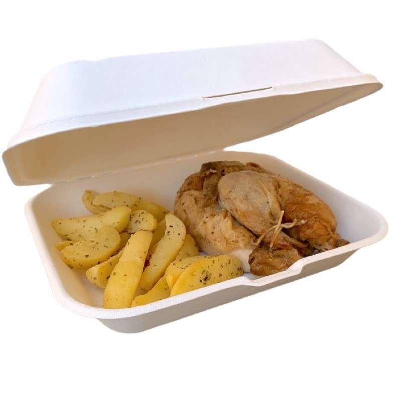 Contenitore food 23x19x7,5 cm