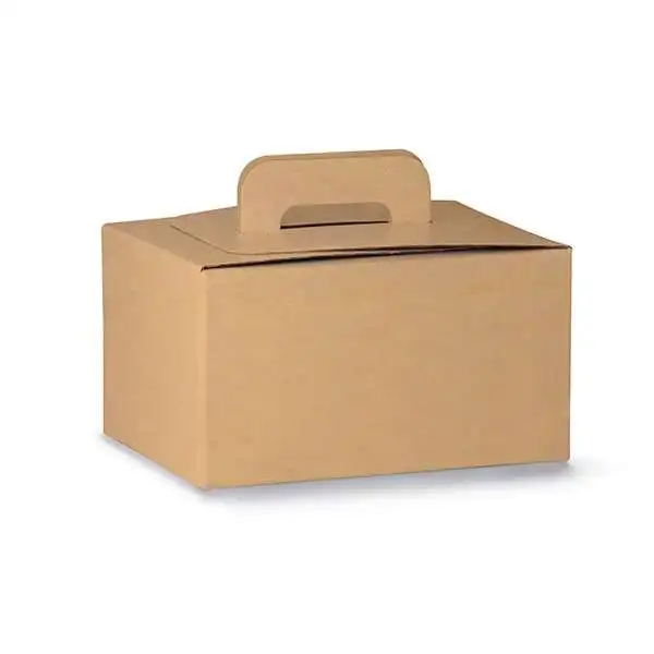 Take Away Box 28x20xh14 cm