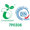 DIN 7P0306
