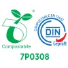 DIN 7P0308