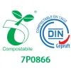 DIN 7P0866