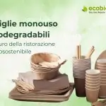 Stoviglie monouso biodegradabili