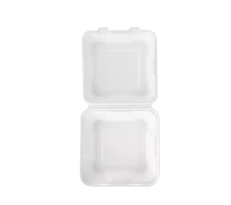 Contenitore Food ECO-LINE 20x20x6h cm